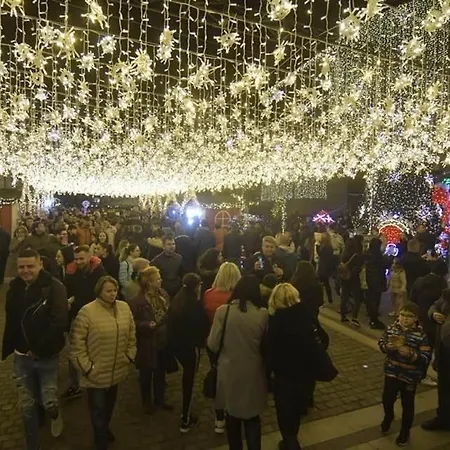 Apartment Vintage Ultracentral