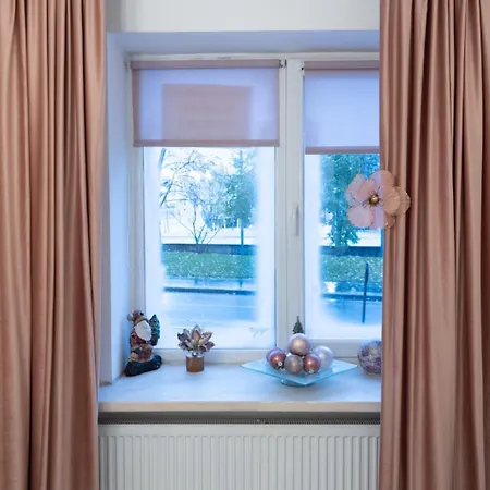 Apartment Vintage Ultracentral *