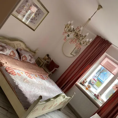 Vintage Ultracentral Apartment Craiova