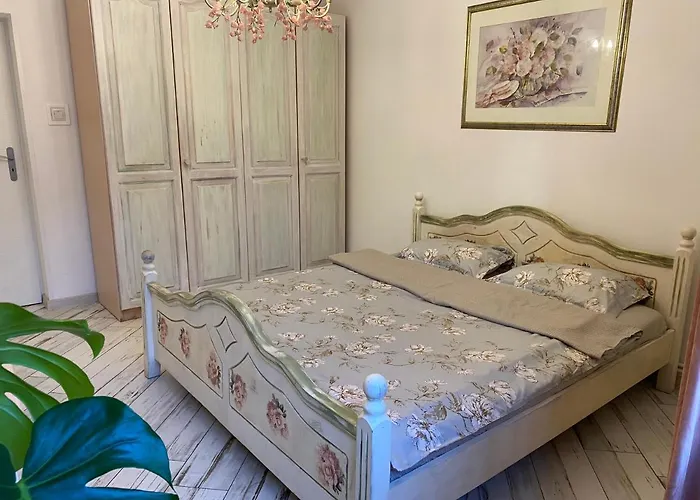 Vintage Ultracentral Apartment Craiova
