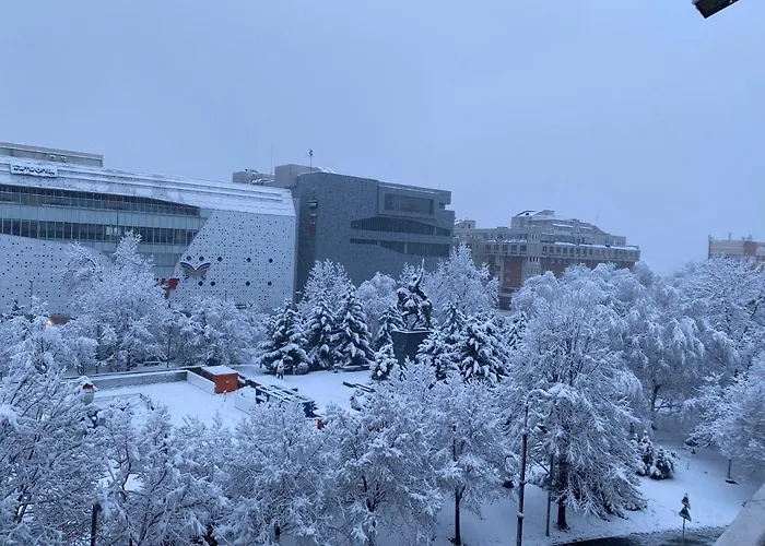 Apartment Vintage Ultracentral Craiova