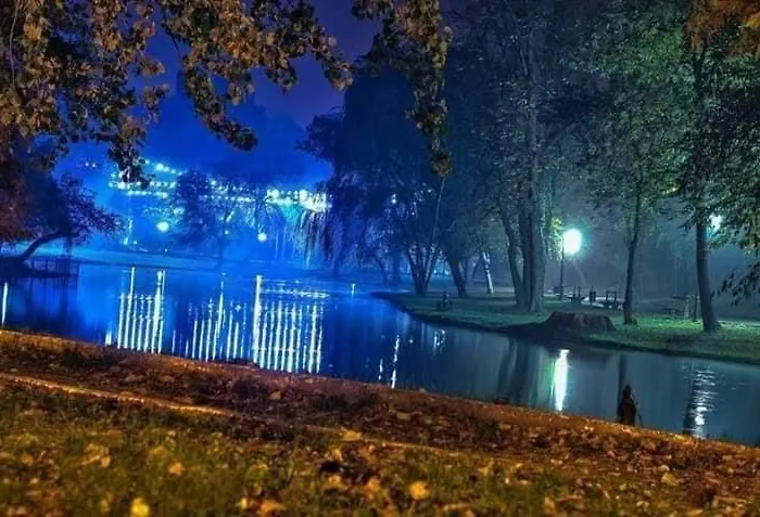 Apartament Vintage Ultracentral Krajowa